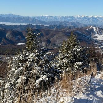 樹林帯を抜けて展望が開けました