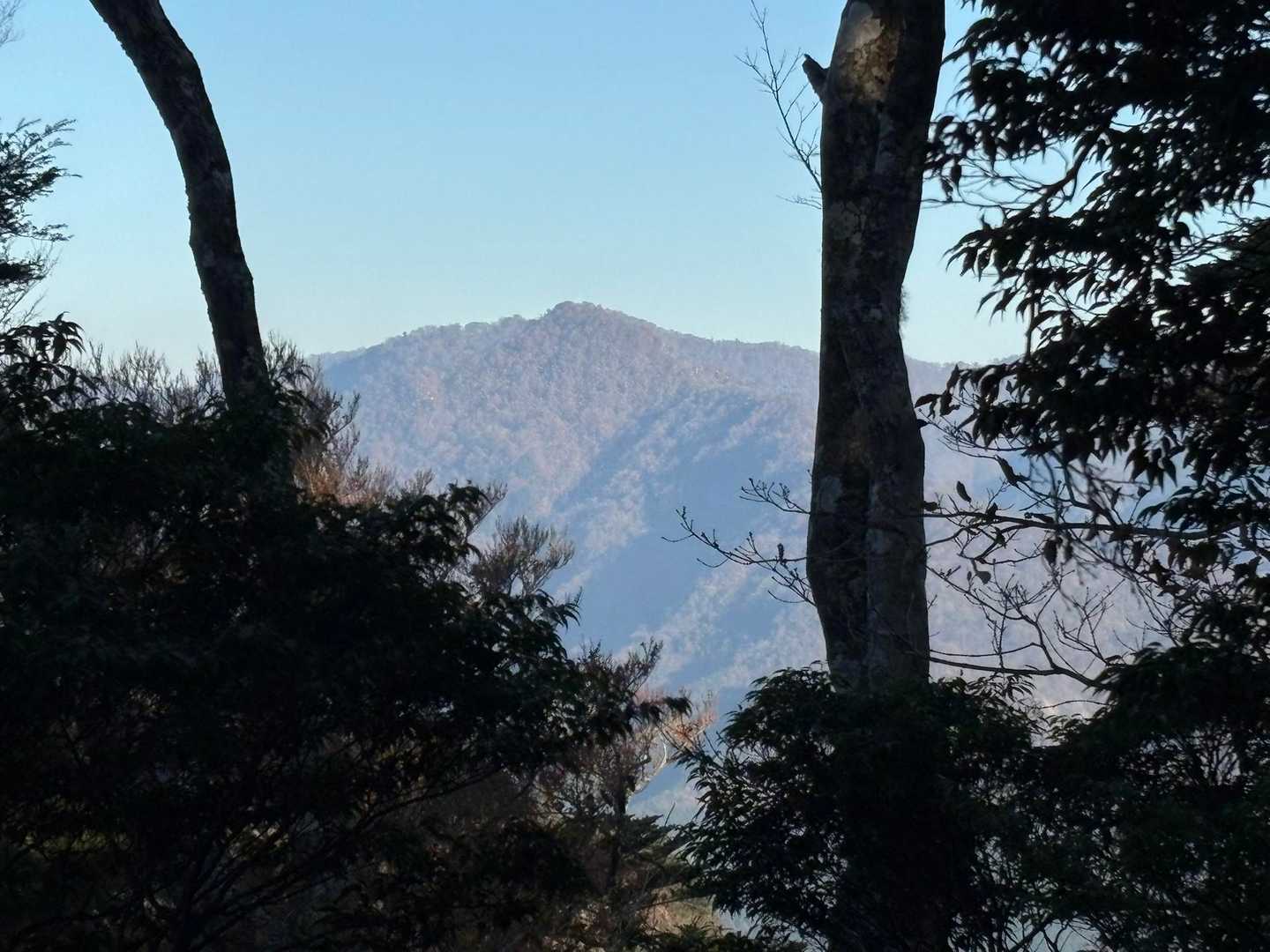 天主山が見守ってます。