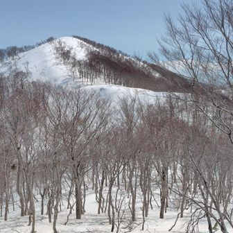 鍋倉山へ🚶‍➡️