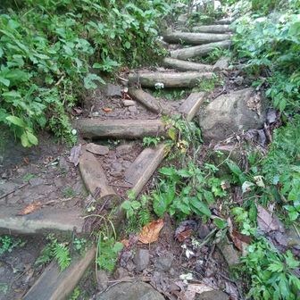 この芸術的な三角形の階段歩道はとても歩きやすく 水切りも上手くできるみたい 
考えた人すご(๑°ㅁ°๑)‼👍 他の山にも広がらないかなぁ？