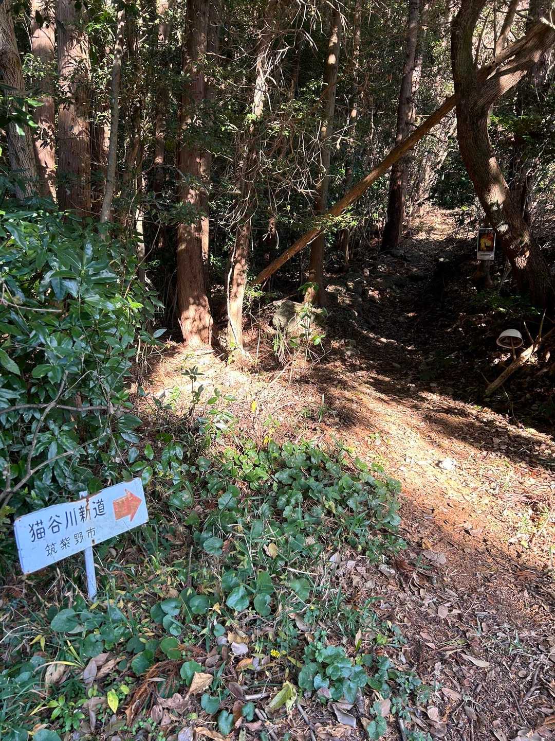猫谷川新道ルート入り口。
この界隈、私たち以外に６台の車路駐。
提谷ルートも近いので皆さんそれぞれ裏宝満満喫しに来たんやね〜。