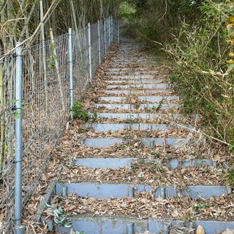 階段地獄は長かった😆　みんなから聞いてた通り
これを登り返す〜のはちょっとしんどいかな〜😅
