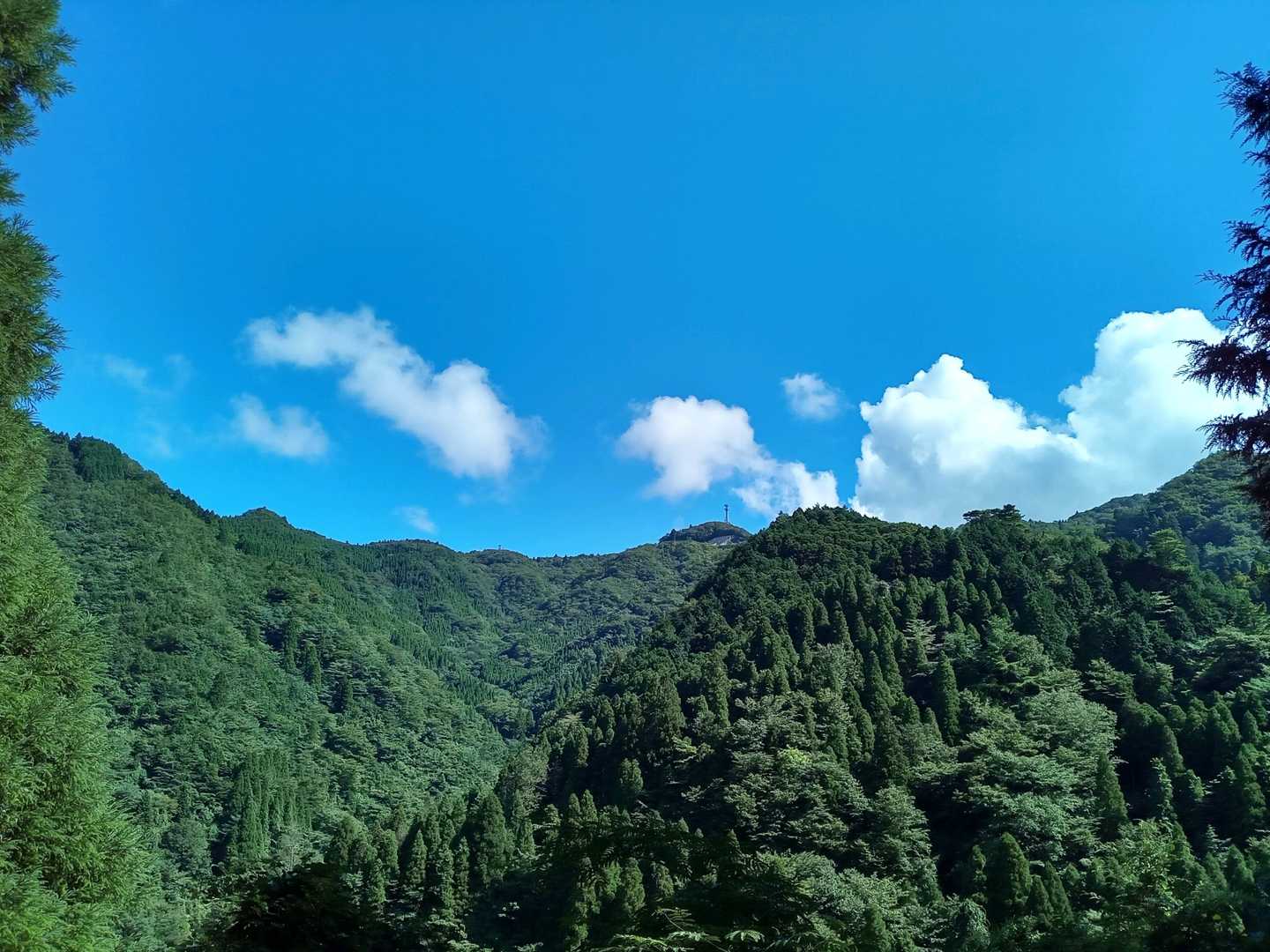 朝がこの天気なら…残念。