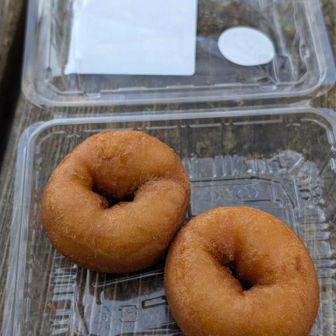 休憩
道の駅で購入してた豆乳ドーナツ🍩癒される
ここからは、チェンスパ着けます