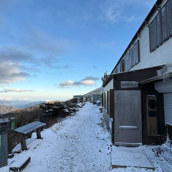 休業中。まぁそうよね。