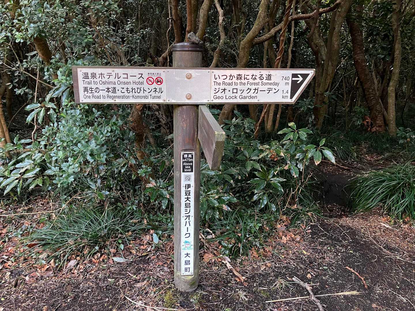 いつか森になる道へ