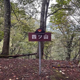 ここも山なんだ。