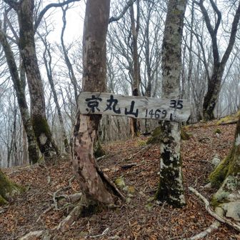 京丸山登頂🙌ここまでかなりの急登続きでしこたま汗かきました