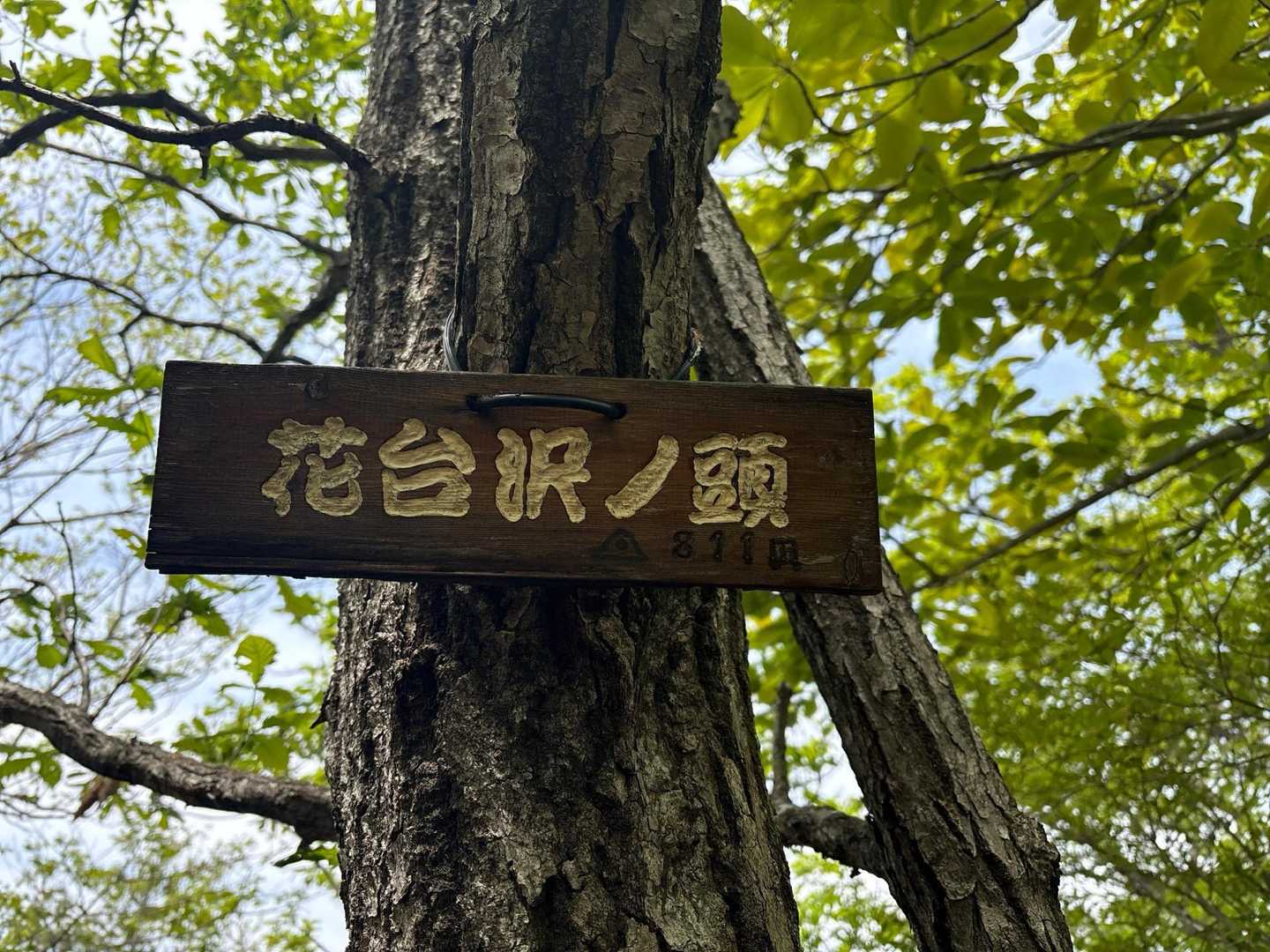 花台沢ノ頭