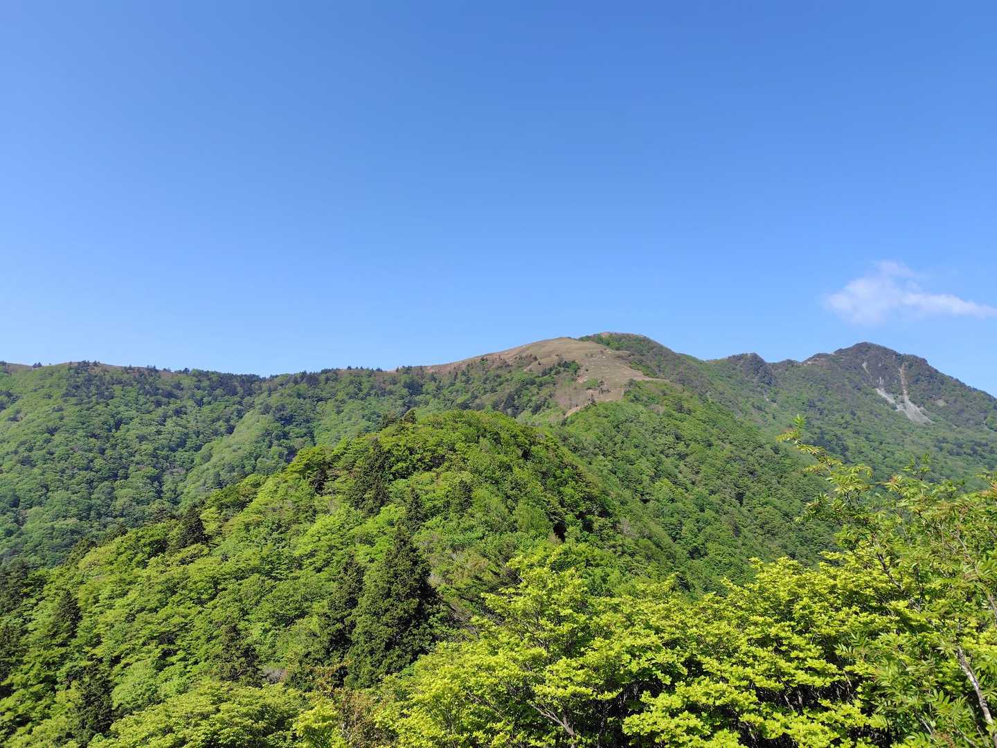 大永山トンネル口-大坂屋敷越-獅子舞の鼻-ちち山 往復コースの写真