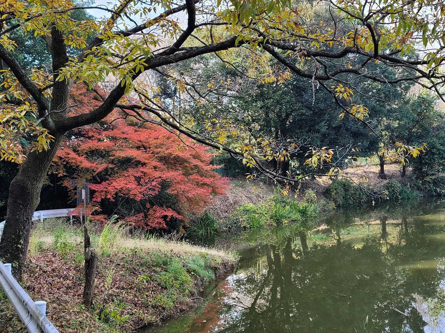 桜井駅〜柳本駅｜日本最古の山の辺の道の写真