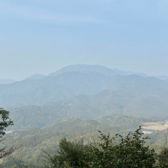 白く霞む作礼山⛰️😭