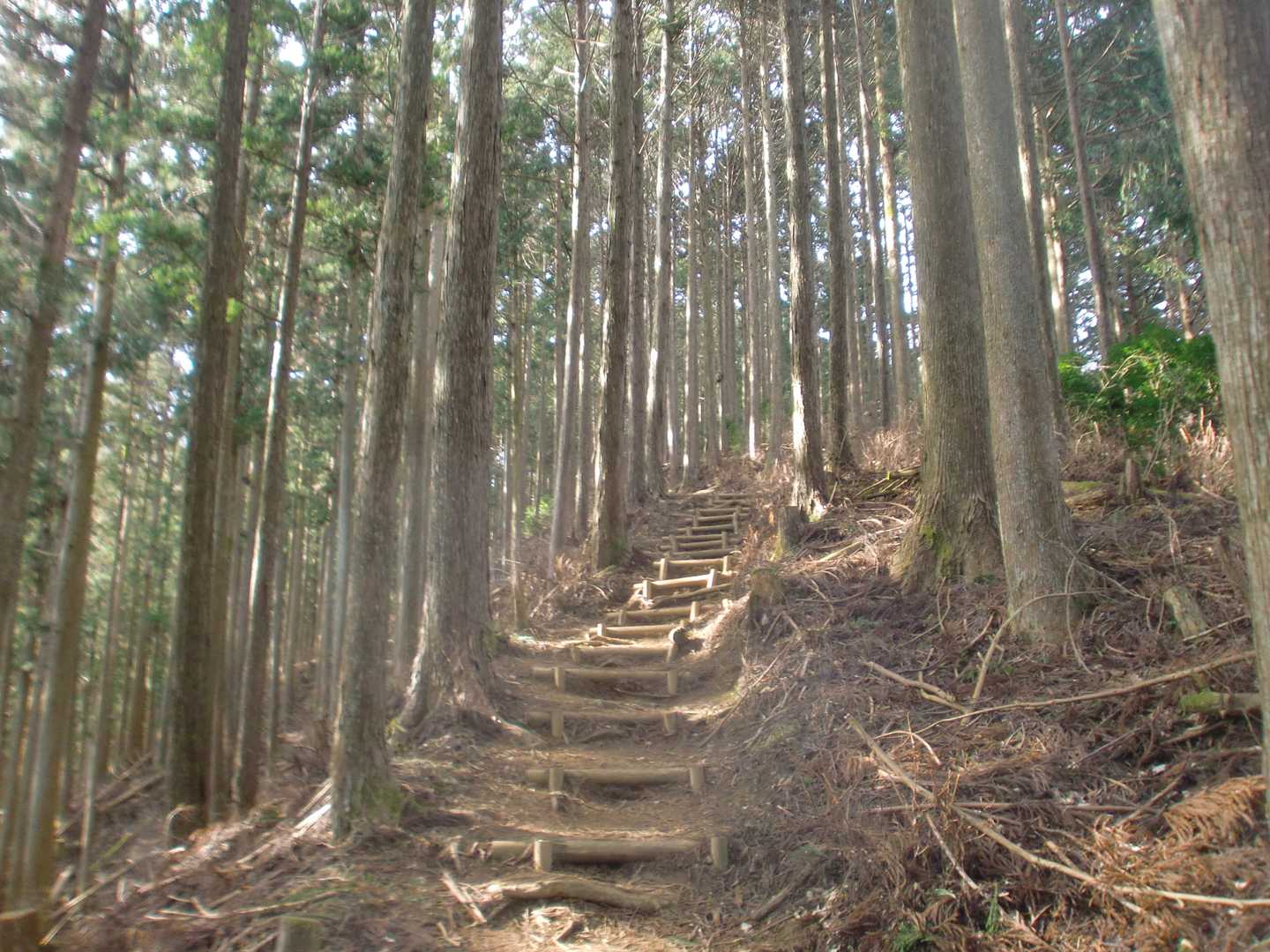 昨日の高見山の事もあり、厚着してきましたが暑いぐらいの陽気です。
