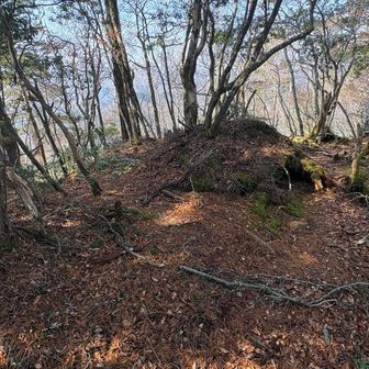 では、赤岩尾根に向けて、再び赤岩峠へ。
と思ったら、道に迷った。
大ナゲシの北稜の方行っちゃった。

無理やりルート回復を図ろうとトラバースしたら、めっちゃ危なかった。
地図見　大事。