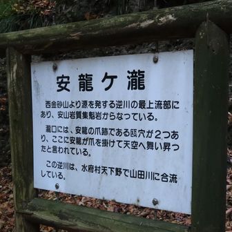 どうにか安龍ヶ滝に到着。