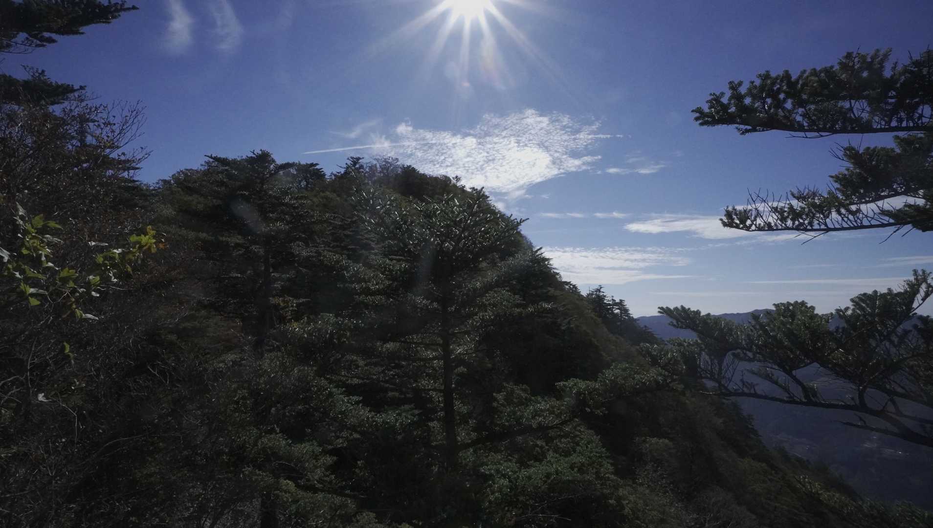 大座礼山登山口-井野川越-大座礼山-大田尾越 周回コースの写真