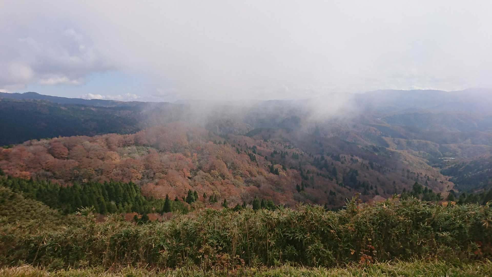 伯州山-霧ヶ原 往復コースの写真