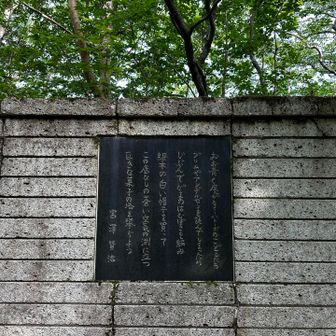 河原坊登山口にある碑
宮沢賢治にとって、岩手の自然は
理想郷(イーハトーブ)の源泉であったらしいとの事
早池峰山を「底なしの蒼い空氣の渕に立つ巨きなお菓子の塔」と表現🍪🍬