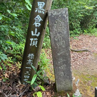 少し古い木の標柱は1247m
古い石柱では1245m
技術が進歩してより正確になっているんだろうけど、誤差数m。アナログだった昔の測量技術もかなり正確だったということかな。