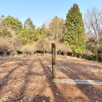 広場のような場所にある高畑山⛰️