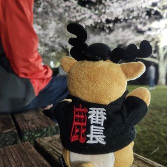 のりまきあかね