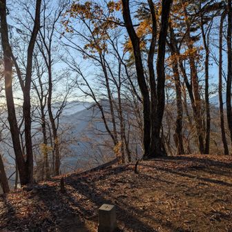 眺望こそないものの隙間があるので明るい。