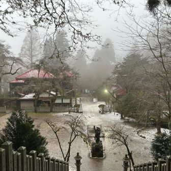 真っ白ですね😅