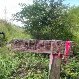 青木鉱泉から御座石鉱泉に向かう登り口。ここから1時間程で一山超えて行きます。