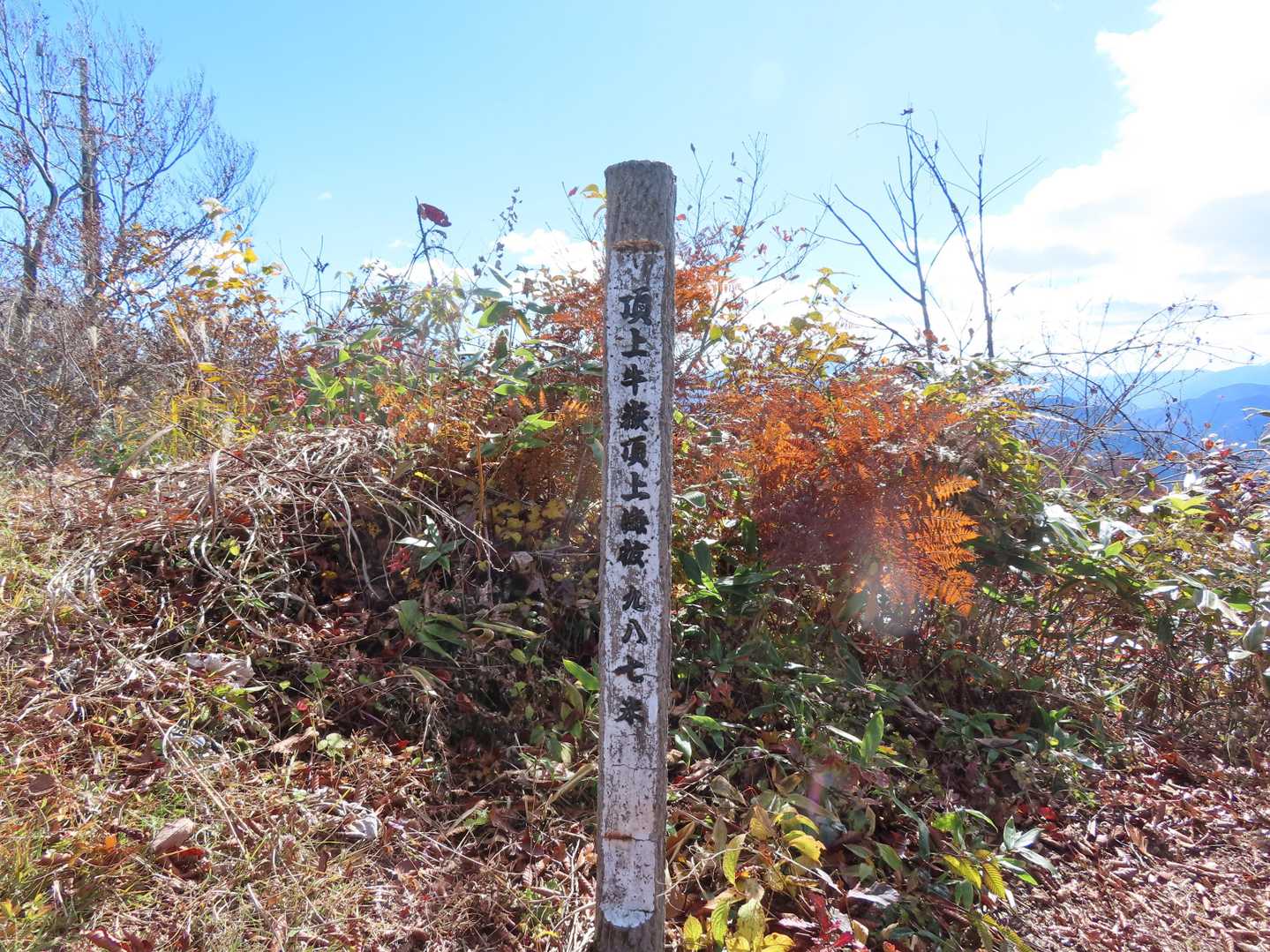 牛岳東峰には山頂標柱