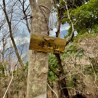 峰寺山...379.4m

ここは展望ありませんが、
