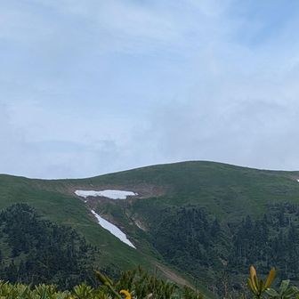 山頂青空出ました😊