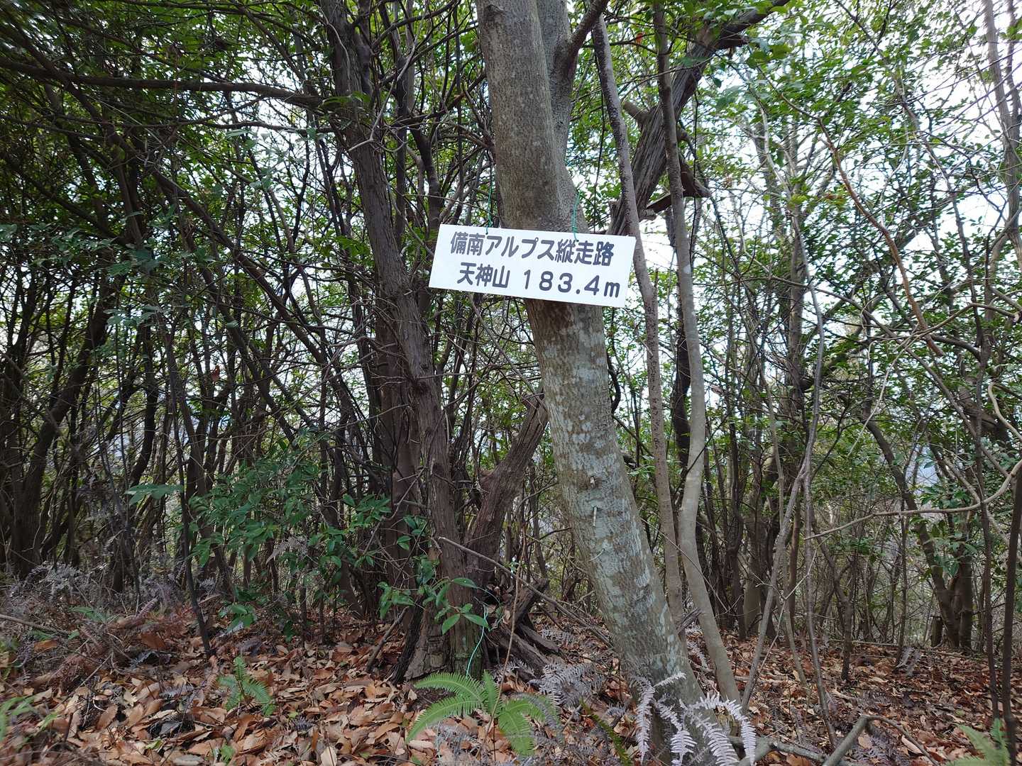 天神山山頂🚩です。
備南アルプス縦走路の途中にあります