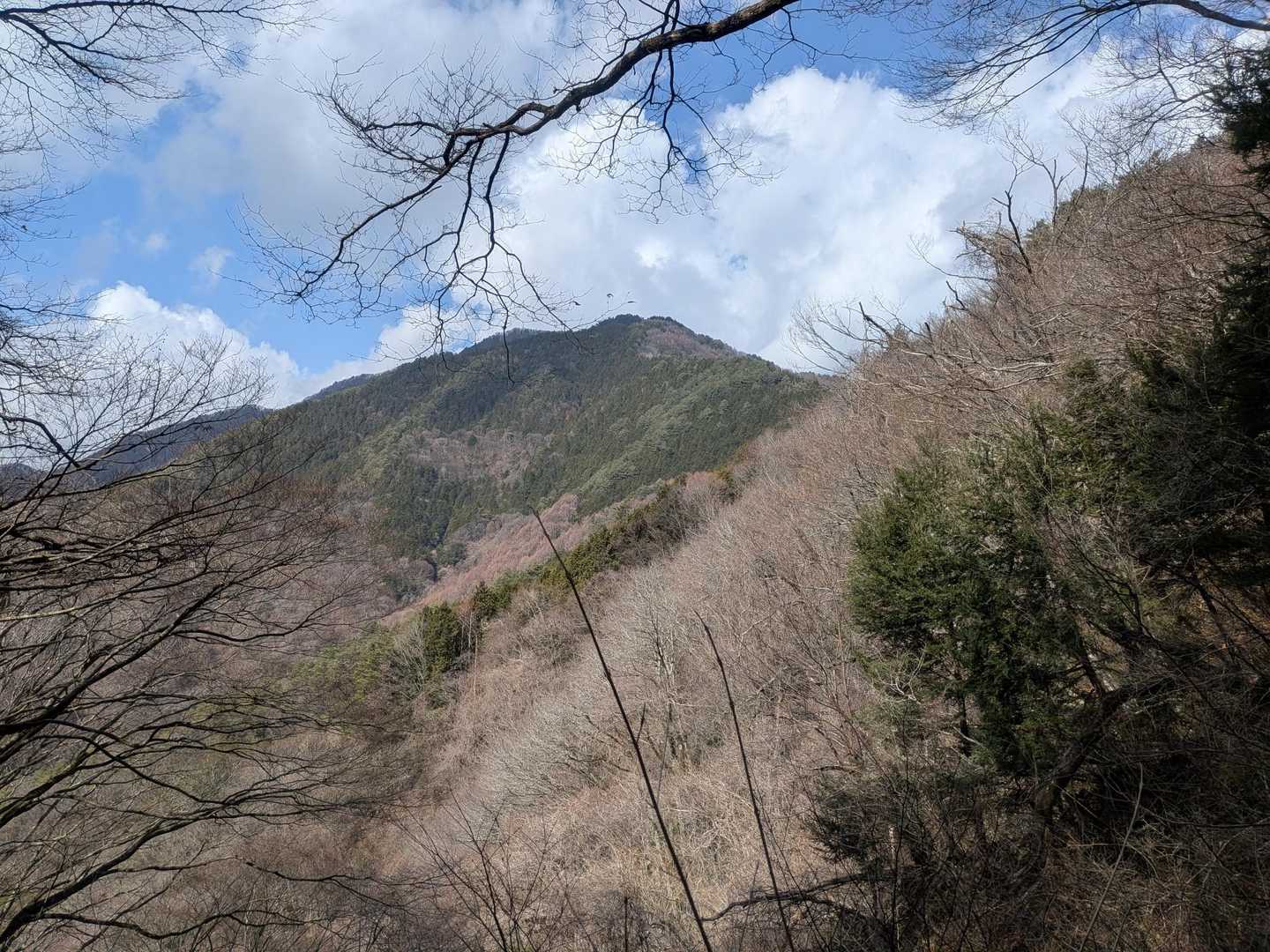 風越山さん、見えた！！
