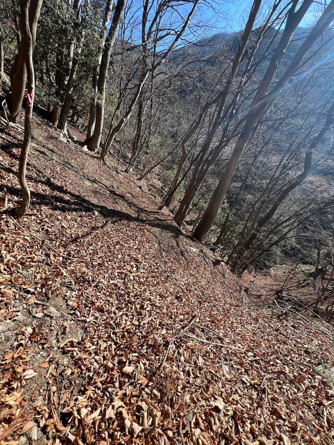 今度はザレと落ち葉の下山道。。

西上州は（使わなくても）チェンスパ
携帯した方が安心だよ　※2回目
