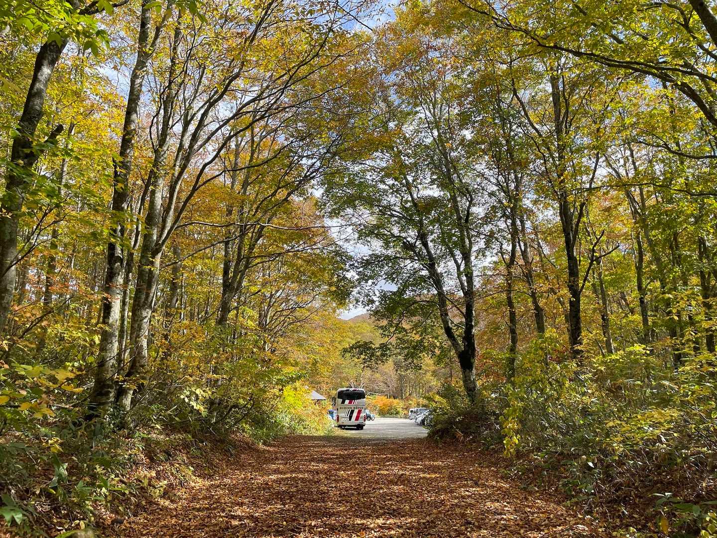 八方台に下山　朝より車は増えてるけどまだ余裕です　県外ナンバーが多い