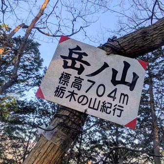 岳ノ山⛰
マンマ・ミーア (Mamma mia)
激登りヒーハー🙀