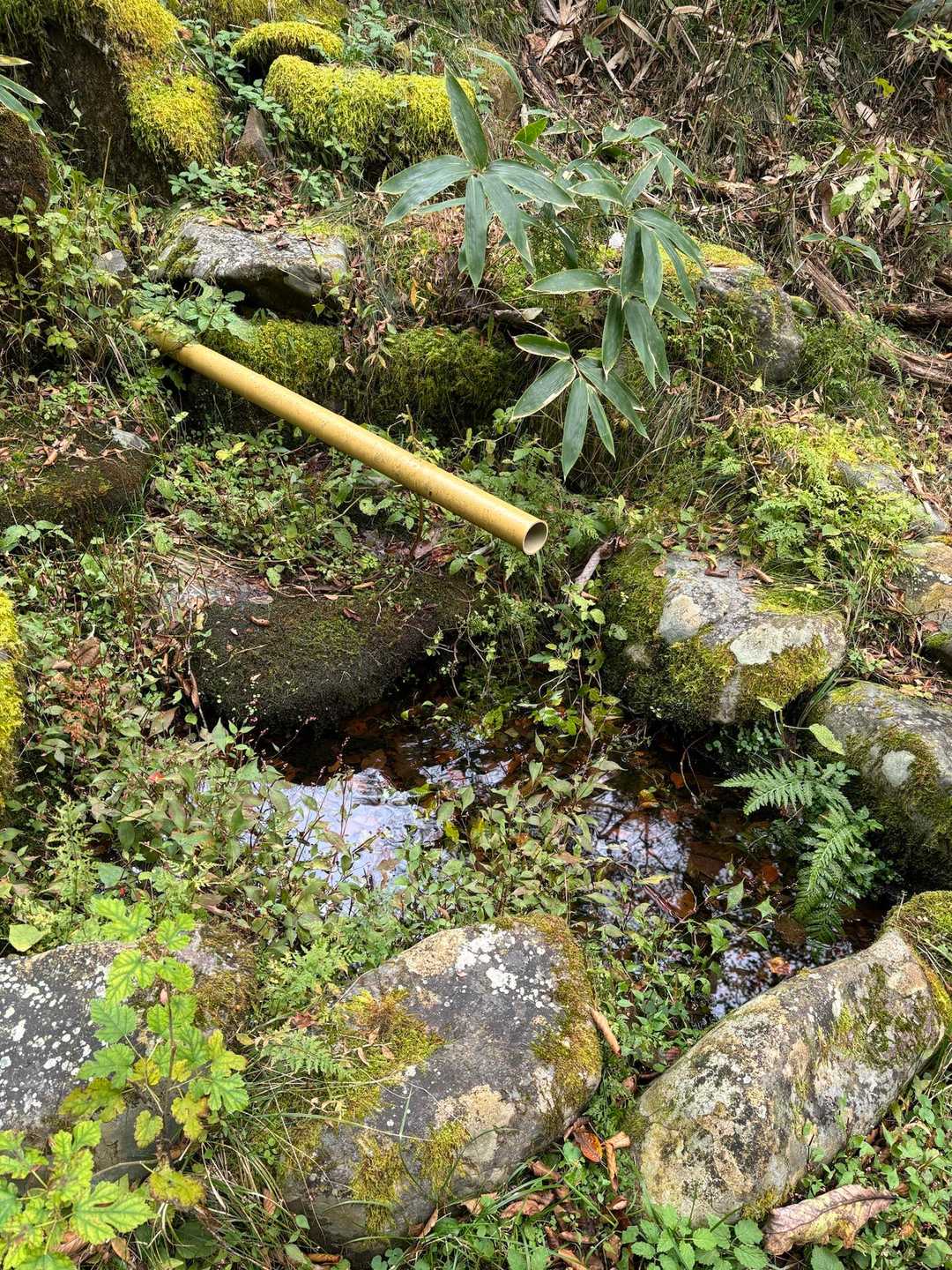 日輪寺入口-旧参道入口-八溝山-日輪寺 周回コースの写真