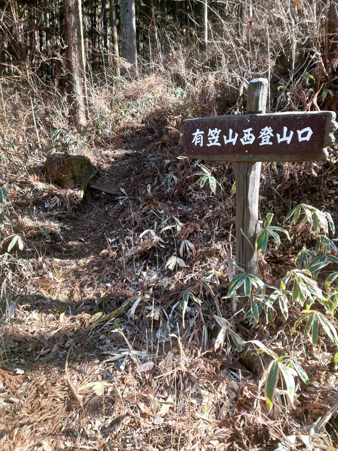 西口登山口へ降りてきました🚶‍♀️🍀

ここから林道歩き

道路、一部凍結しているので、気をつけながら……