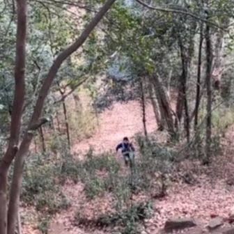 エゾハムスター