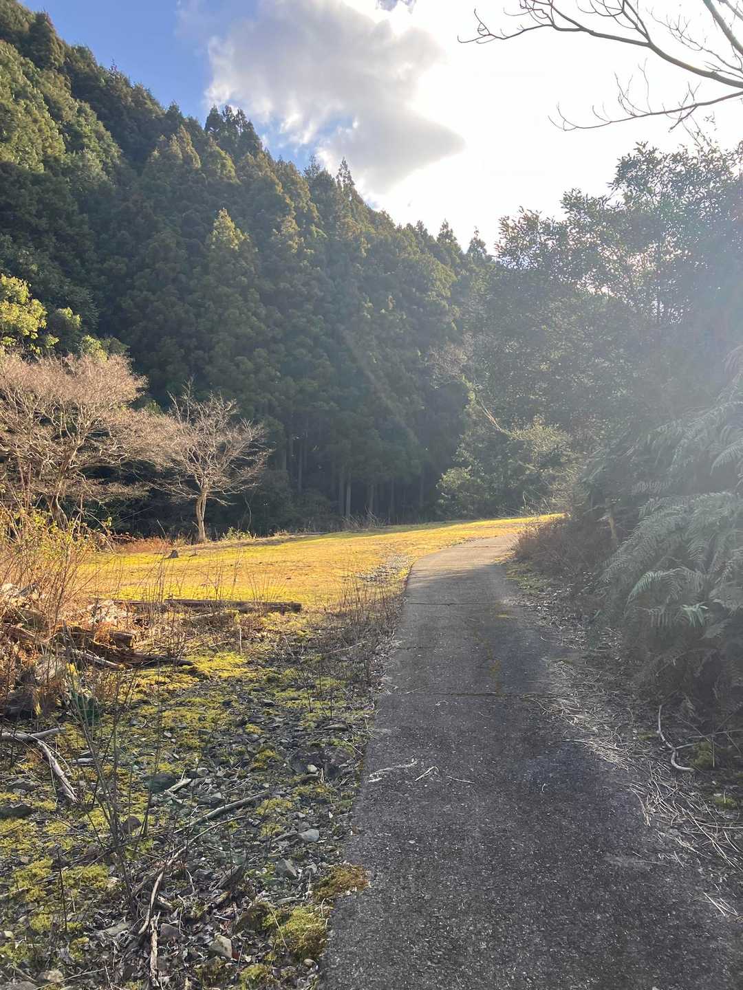 矢筈岳 往復コースの写真