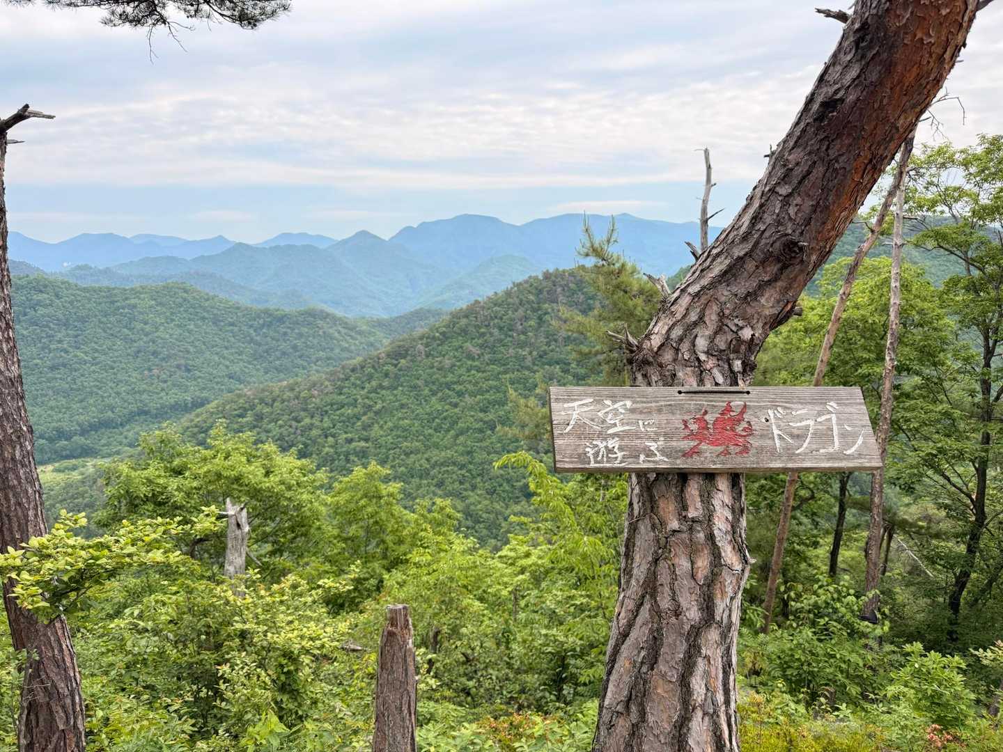小菰石山-大岡山 往復コースの写真