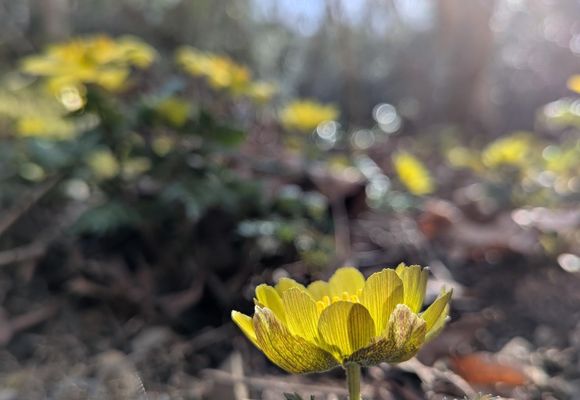 やまちゃん👨‍🦲 | YAMAP / ヤマップ