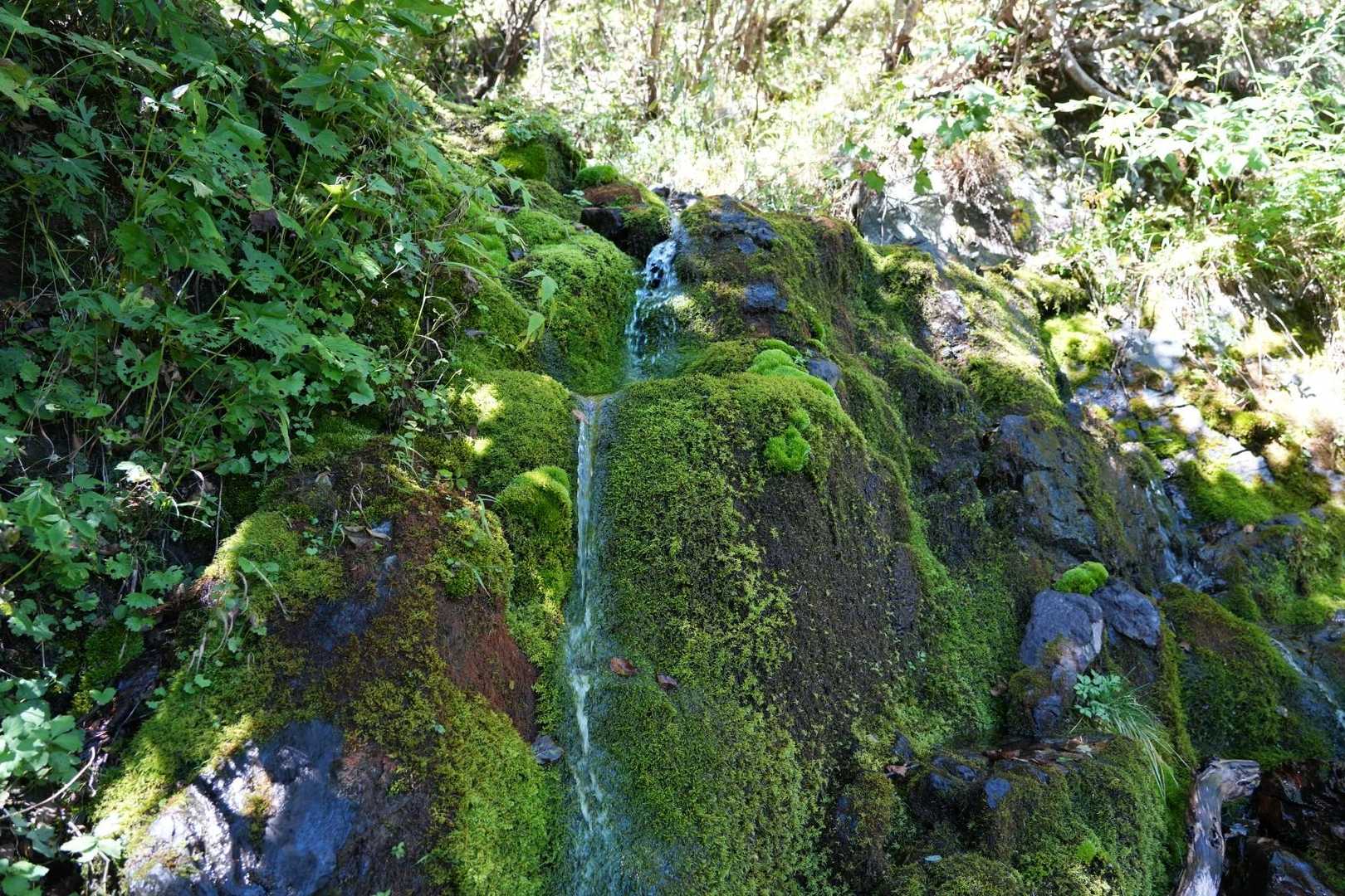 南アルプスの天然水
