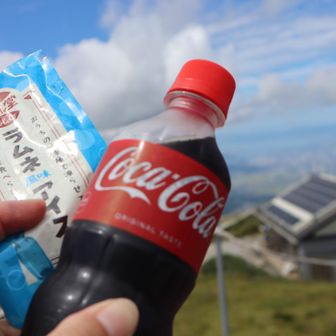 やっぱりアイスは外せない