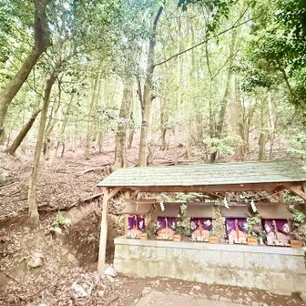 本殿の左側の末社　左から
・多紀理比賣命 （ たぎりひめのみこと ）　海の神様
・弁財天　水の神様
・イザナギノ尊とイザナミノ尊
・お稲荷さん

一番右が分からないんですよ～

本殿の右側の末社は、天照大神です。