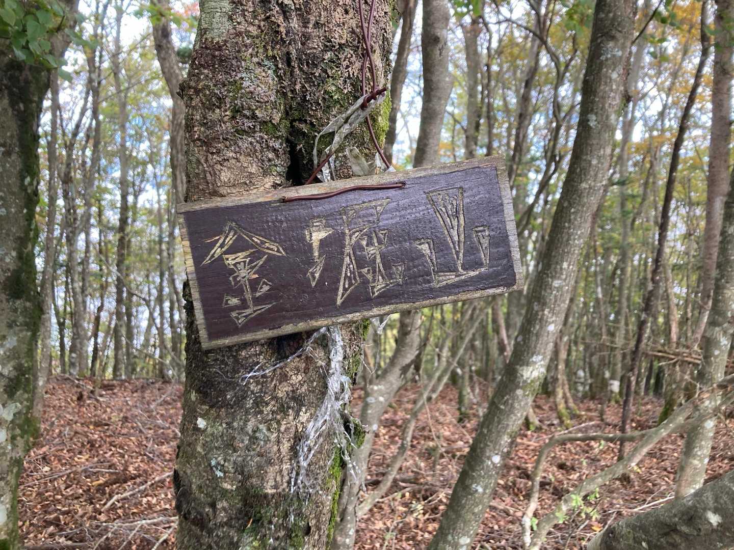 金堀山