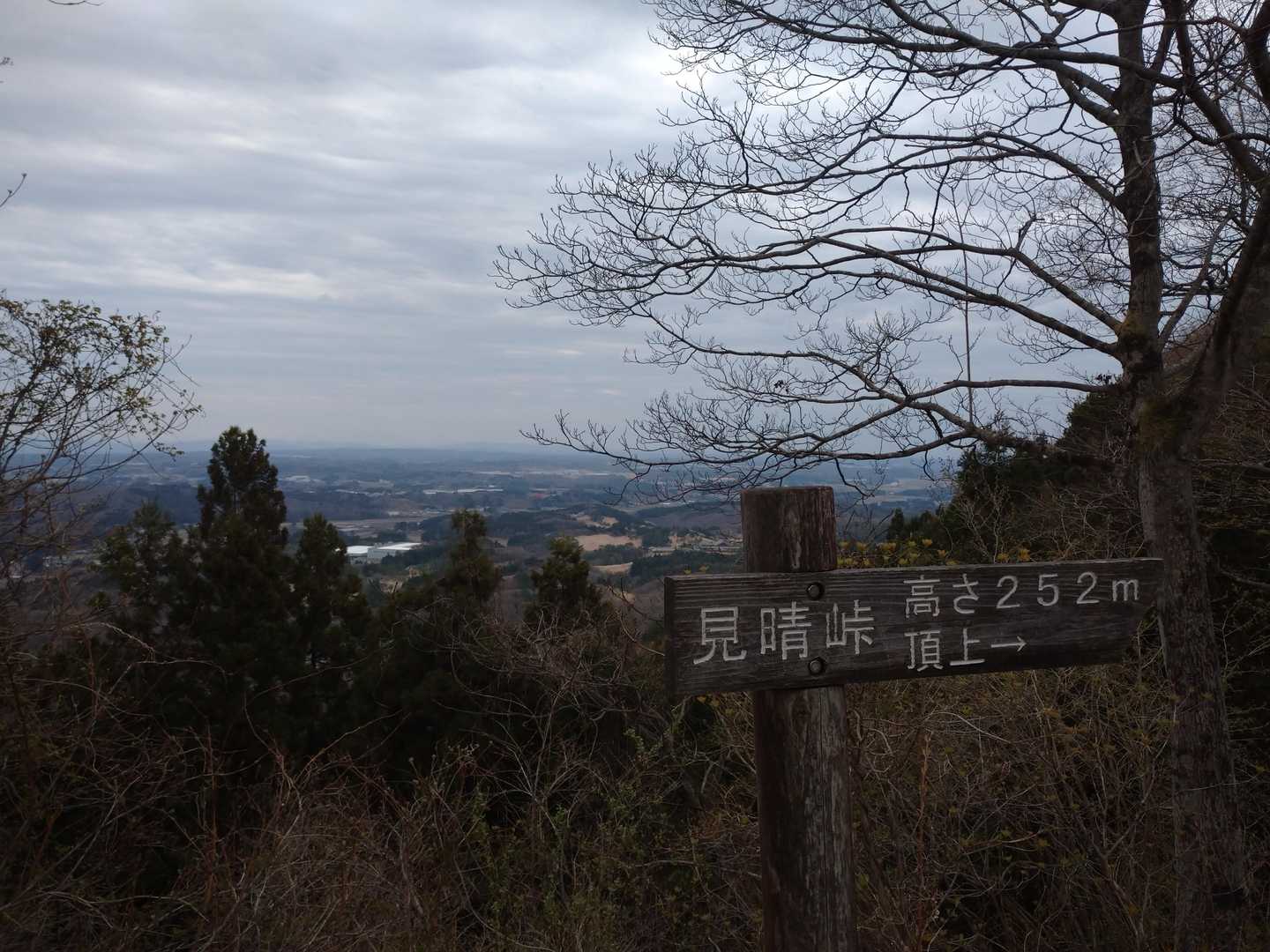 この山はさっさとやっつけるのが目的でしたのでモリモリ登ってサクサク下ります。
