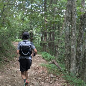 美濃國を広報したら、なんとKINKAに出走してくれてました