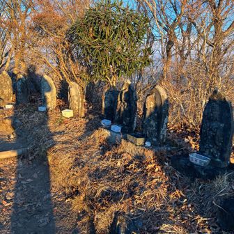 今年もよろしくお願いします