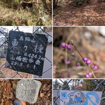 鳥脇山への道は、車が通れる幅が大半。ここにも枯葉落葉満載。坂道も滑らない様に上り、滑りながら下ります。

鳥脇山山頂。というか鉄塔設置場所。

葉っぱがもうないので、おそらくヤブムラサキ。

鳥脇山山頂の三角点。2個あったけど新し方で。

鳥脇山山頂。